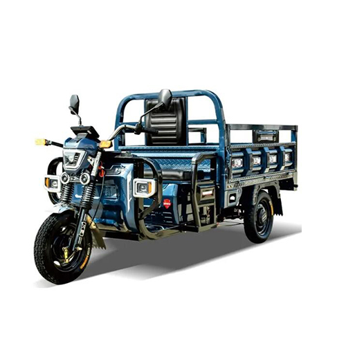 Electric Tricycle with Cargo